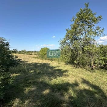 Image of property - 1755379824926_4e1414c1-cda7-4a21-a704-c275e33fc09b.jpg