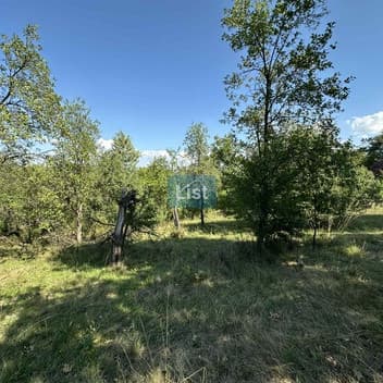 Image of property - 1755379839707_d1c10603-9b08-478a-9b44-28bfddf9c6c1.jpg