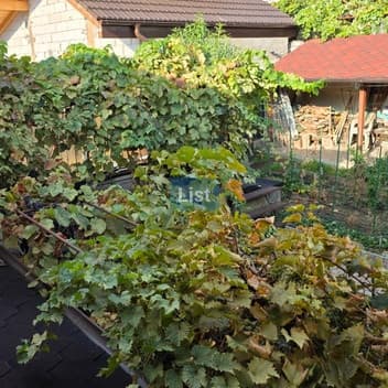 Image of property - 1757936259658_8_dwv5es_batch2_mfl1uvt4wvsagh_20250912_092718.jpg