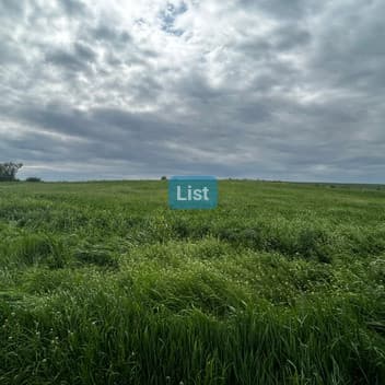 Image of property - 1746277554022_IMG_5127.jpeg