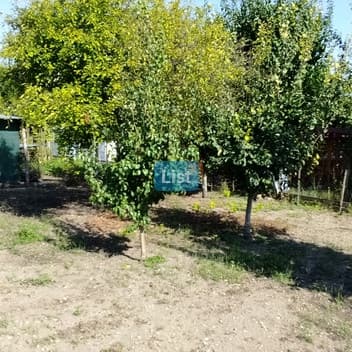 Image of property - 1757442965956_17_sdtb8x_batch5_mfcw5tuul8n3vm_IMG_20250903_154849.jpg