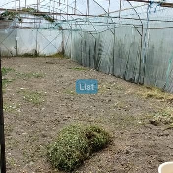 Image of property - 1763749760647_15_tvzob2_batch4_mi972cq3qj0sbi_IMG_20250719_132828.jpg